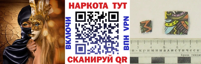 Как найти наркотики Кондопога Псилоцибиновые грибы Меф СОЛЬ ГАШ Бошки Шишки
