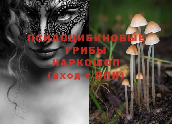 ешки Коряжма