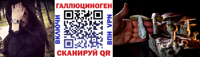 купить наркотики цена  Кондопога  гидра ССЫЛКА  Псилоцибиновые грибы Cubensis 